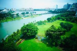 The Riverine By The Park (D12), Apartment #256757831